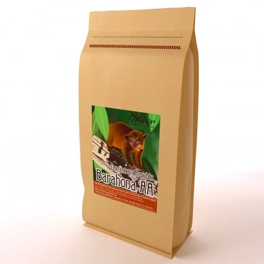 Dominicana Barohona AA