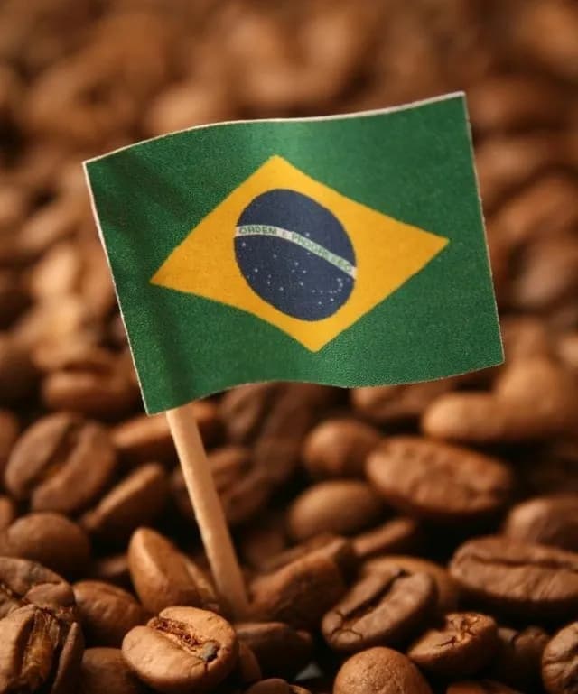 Бразильский кофе: почему стоит попробовать