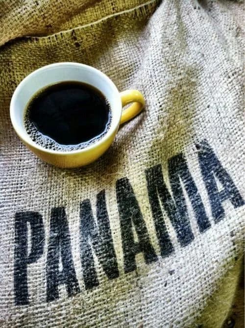 Кофе из Панамы: что делает его уникальным